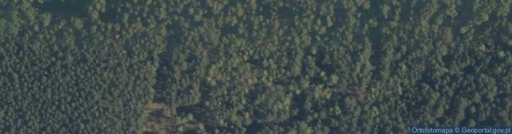 Zdjęcie satelitarne Kota Trzpiota ul.