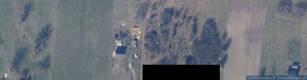 Zdjęcie satelitarne Kolonia Głogowa ul.
