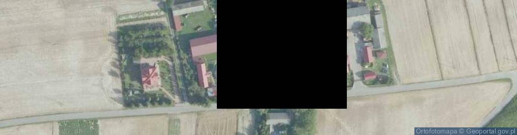 Zdjęcie satelitarne Kolonia Domaradzice ul.