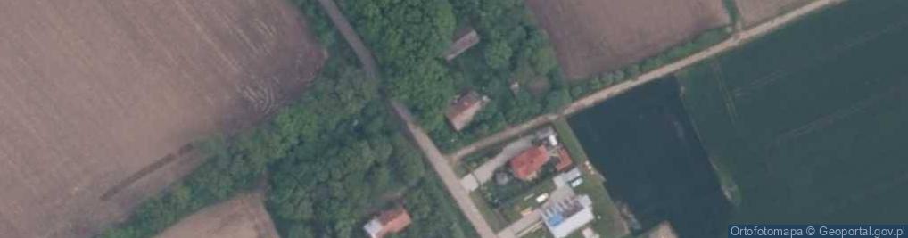 Zdjęcie satelitarne Kolonia Duża ul.