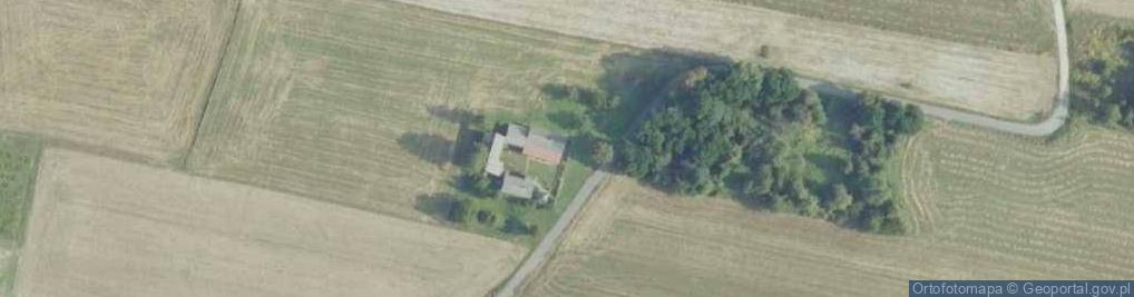 Zdjęcie satelitarne Kolonia Grzybów ul.