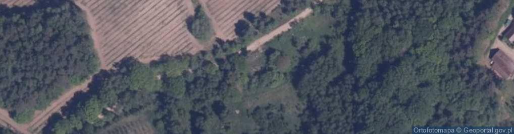 Zdjęcie satelitarne Kocury ul.