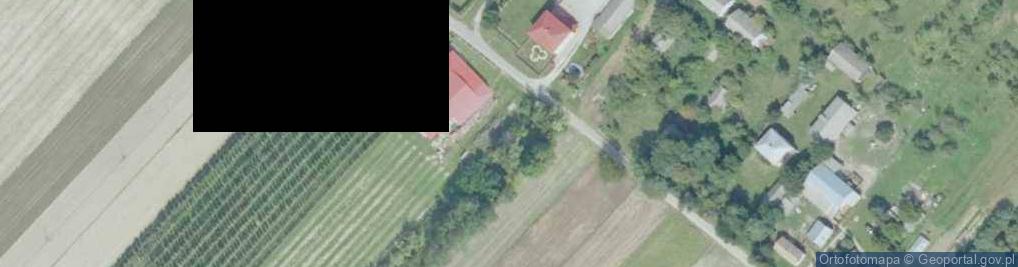 Zdjęcie satelitarne Kolecin ul.