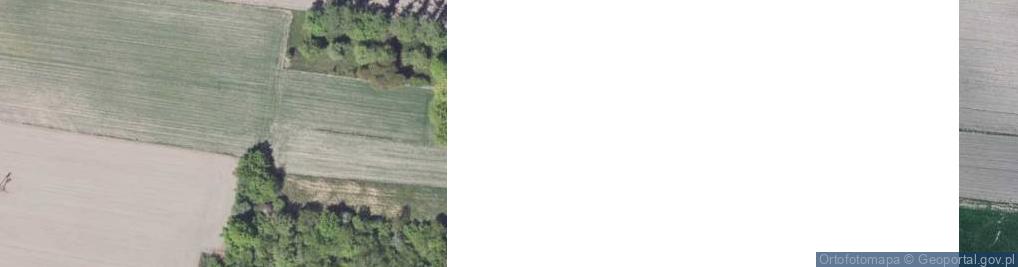 Zdjęcie satelitarne Kolembrody ul.