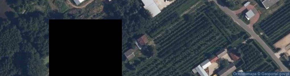 Zdjęcie satelitarne Kolonia Bądków ul.
