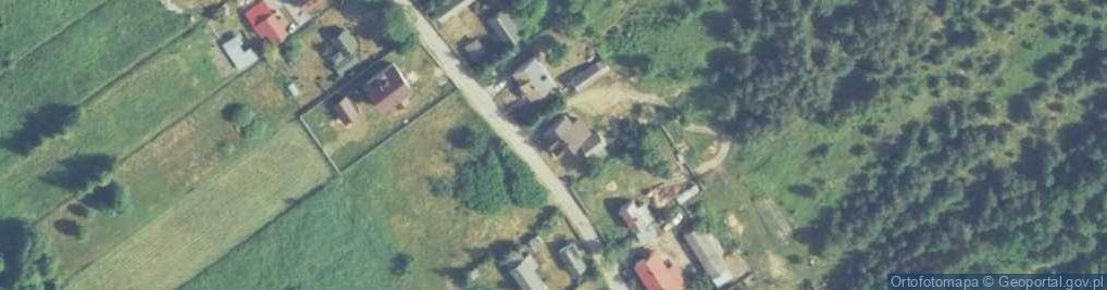 Zdjęcie satelitarne Kolonia Bogoria ul.