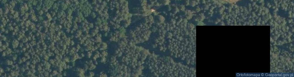 Zdjęcie satelitarne Kolonia Głowa ul.
