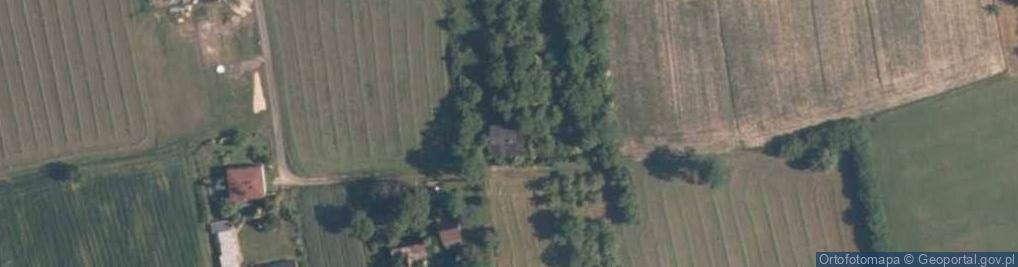 Zdjęcie satelitarne Kolonia Łaznów ul.