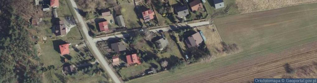 Zdjęcie satelitarne Kolonia Lesiów ul.