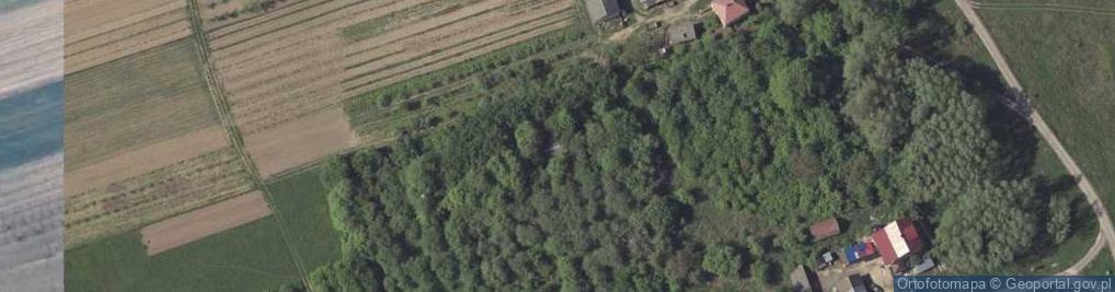 Zdjęcie satelitarne Kolonia Nadwiślańska ul.
