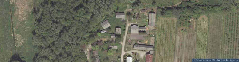 Zdjęcie satelitarne Kolonia Nieszawa ul.