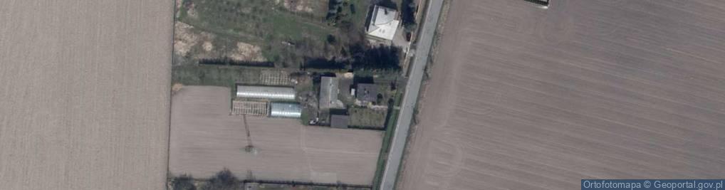 Zdjęcie satelitarne Kolonia Skarszewek ul.