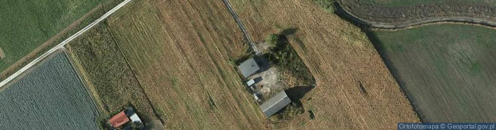 Zdjęcie satelitarne Kolonia Straszewska ul.