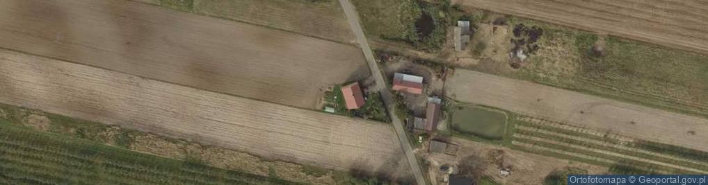Zdjęcie satelitarne Kolonia Wierzbie ul.