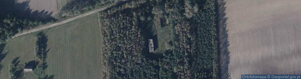 Zdjęcie satelitarne Kolonia Wolańska ul.