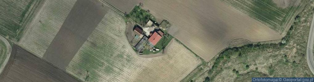 Zdjęcie satelitarne Kończewice ul.