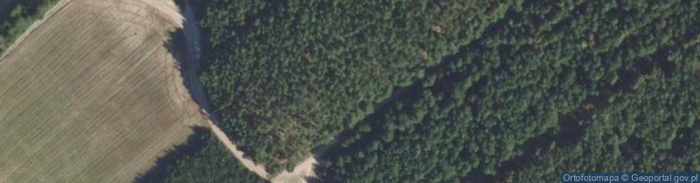 Zdjęcie satelitarne Kopeć ul.