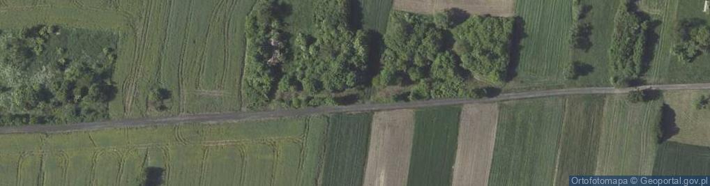 Zdjęcie satelitarne Kornelówka-Kolonia ul.