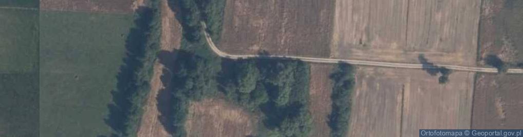 Zdjęcie satelitarne Korzeń Rządowy ul.