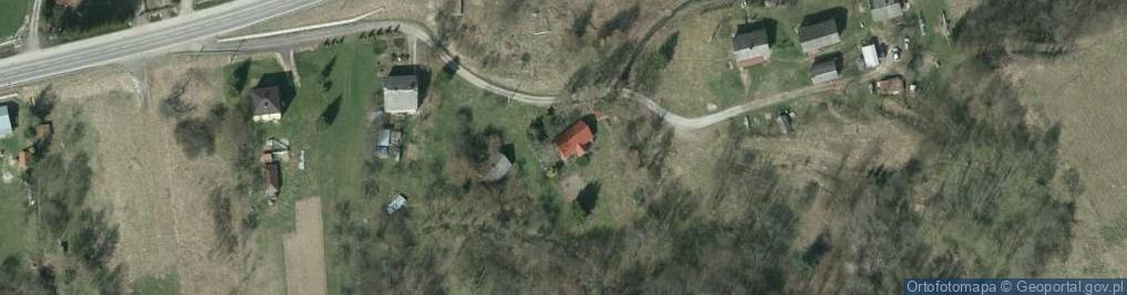 Zdjęcie satelitarne Korzeniec ul.