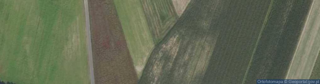 Zdjęcie satelitarne Kościelec-Kolonia ul.