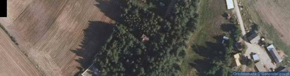 Zdjęcie satelitarne Kotowina ul.