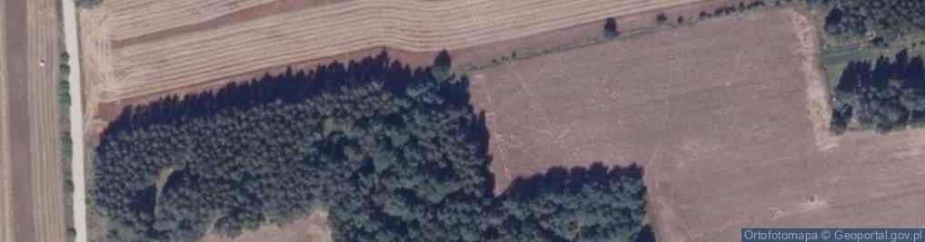 Zdjęcie satelitarne Kowale-Kolonia ul.