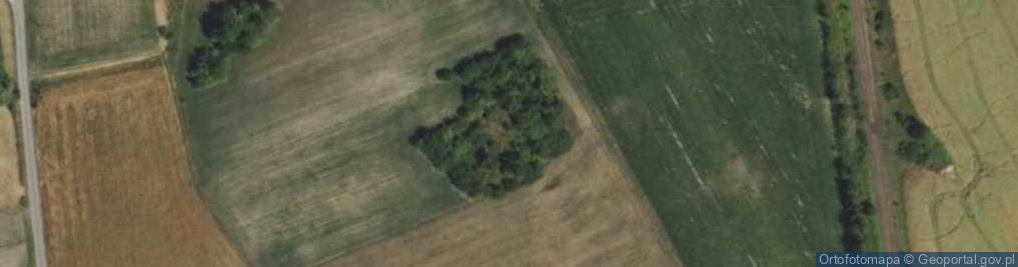 Zdjęcie satelitarne Kowalewo-Skorupki ul.