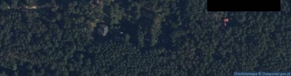 Zdjęcie satelitarne Koziołka Matołka ul.