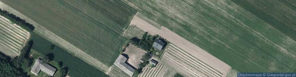 Zdjęcie satelitarne Kolonia ul.