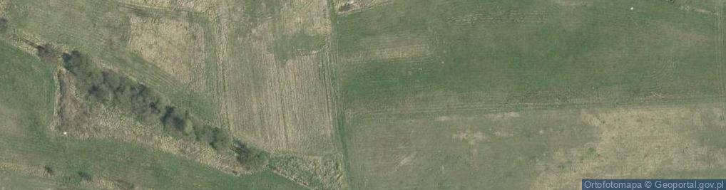 Zdjęcie satelitarne Kocanki ul.