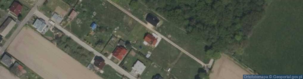 Zdjęcie satelitarne Koszyka Alberta ul.