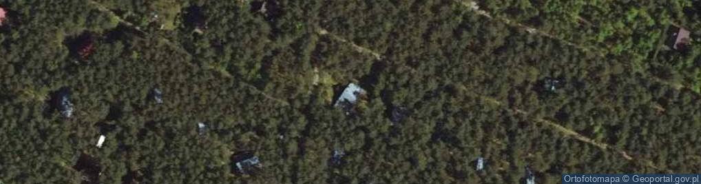 Zdjęcie satelitarne Krajęczyn ul.