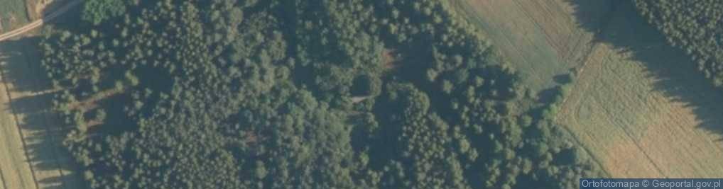 Zdjęcie satelitarne Kraszyn ul.