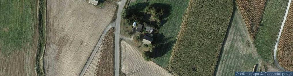 Zdjęcie satelitarne Kruszynek-Kolonia ul.