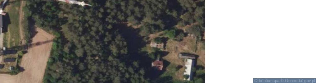 Zdjęcie satelitarne Krynice ul.