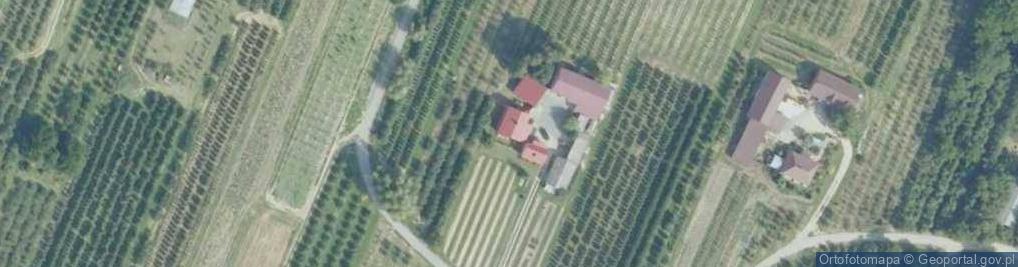 Zdjęcie satelitarne Krzeczkowice ul.