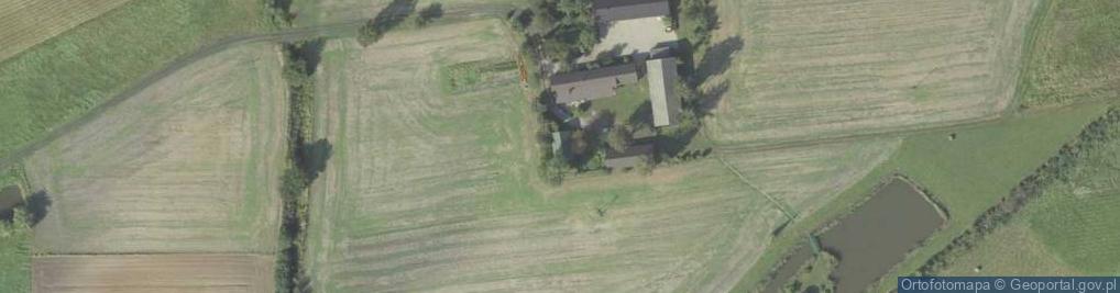 Zdjęcie satelitarne Krzesimów ul.