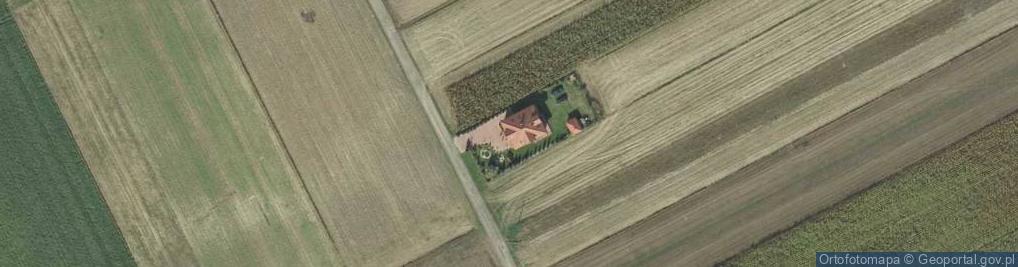 Zdjęcie satelitarne Krzesimów ul.