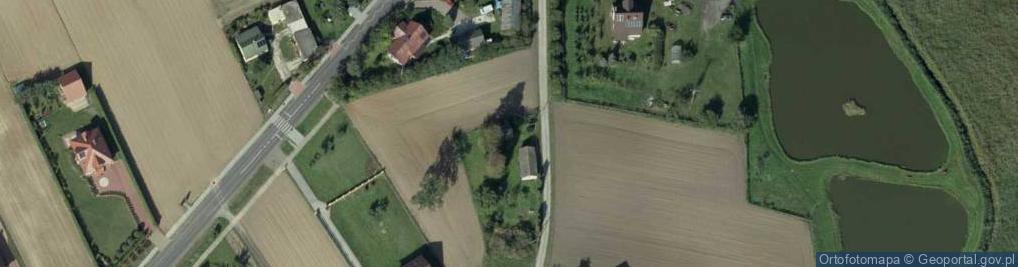 Zdjęcie satelitarne Krzesimów ul.