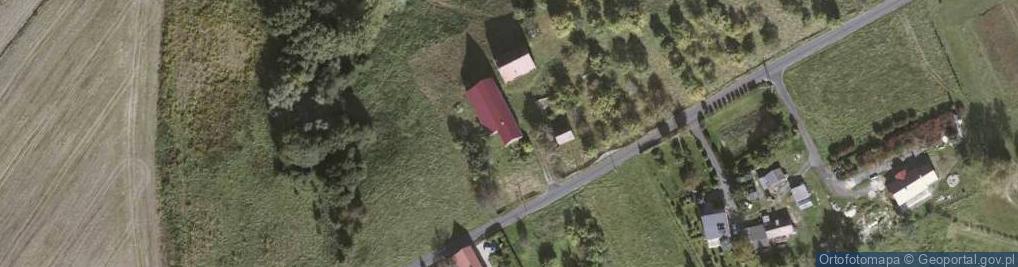 Zdjęcie satelitarne Krzewie Małe ul.