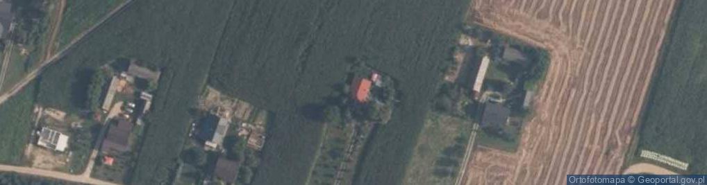 Zdjęcie satelitarne Krzykosy ul.