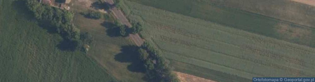 Zdjęcie satelitarne Krzywanice ul.