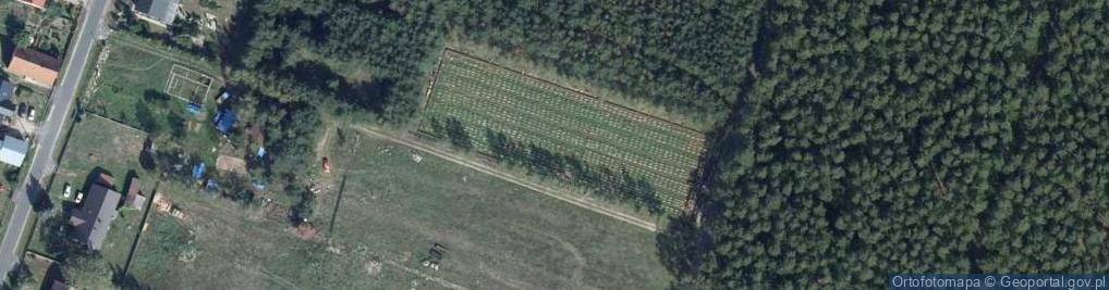 Zdjęcie satelitarne Krzywczyce ul.
