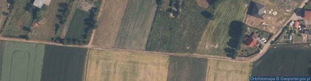Zdjęcie satelitarne Krzywizna ul.