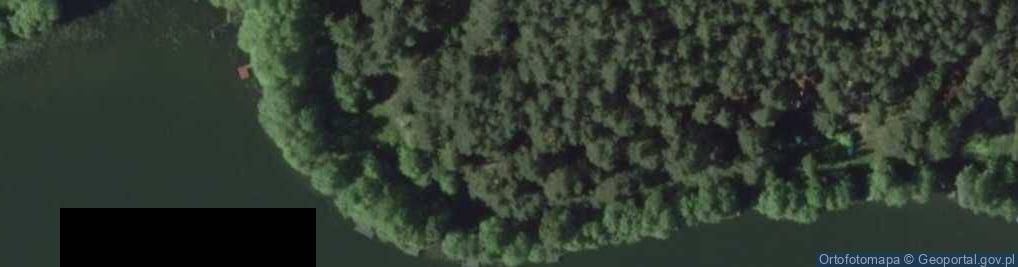 Zdjęcie satelitarne Krzywonoga ul.