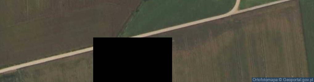 Zdjęcie satelitarne Krzywa ul.