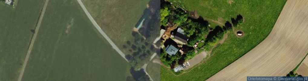 Zdjęcie satelitarne Krzywa ul.