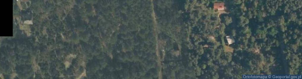 Zdjęcie satelitarne Krzewowa ul.