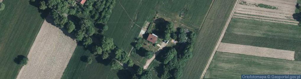 Zdjęcie satelitarne Krzywie ul.